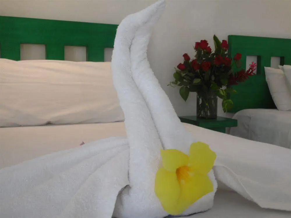 Tropical Casablanca Party Hotel Riviera Maya