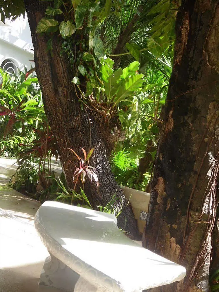 Tropical Casablanca Party Hotel Riviera Maya