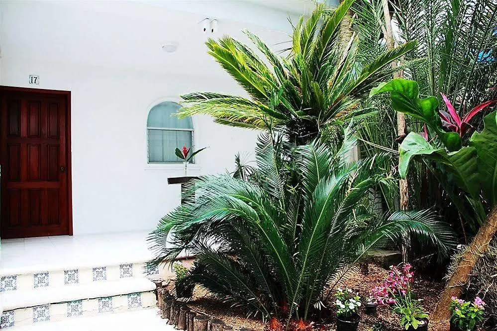 Tropical Casablanca Party Hotel Riviera Maya