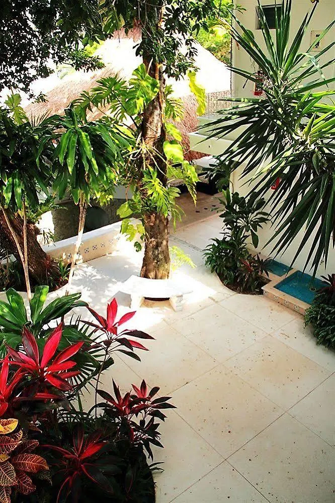 Tropical Casablanca Party Hotel Riviera Maya